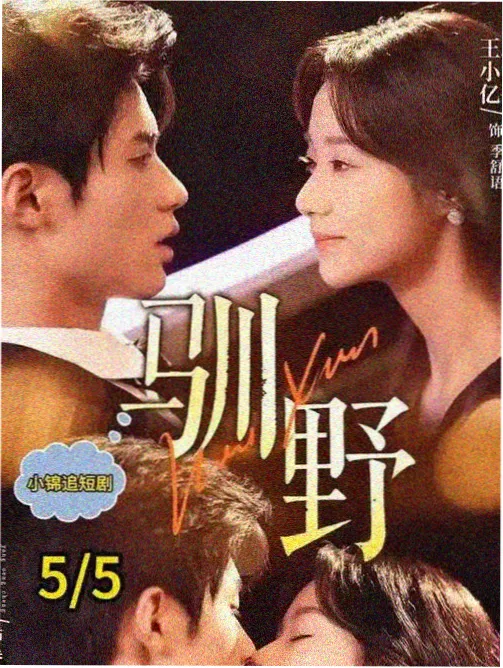 网上影院在架剧集夜班编辑部的封面，凌晨的编辑部与亮着的台灯
